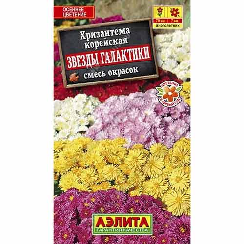Хризантема корейская Звезды галактики, смесь окрасок Аэлита изображение 1 артикул 99176