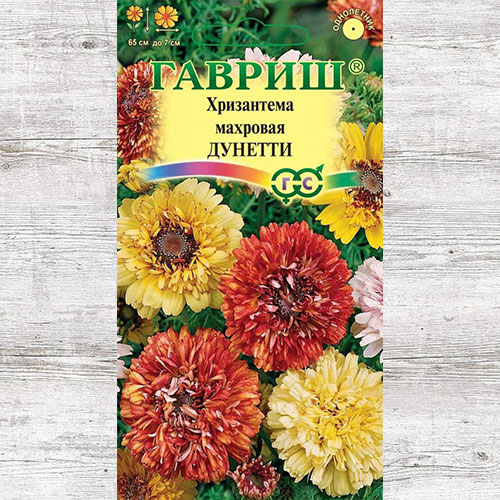 Хризантема Дунетти, смесь окрасок Гавриш изображение 1 артикул 73924