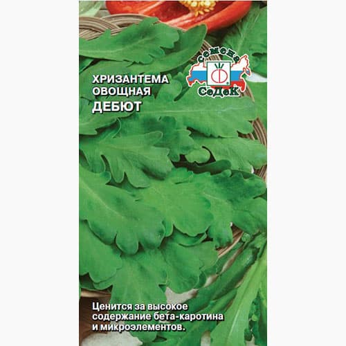 Хризантема овощная Дебют Седек изображение 1 артикул 98157