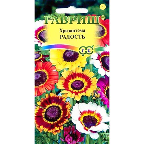 Хризантема Радость, смесь окрасок изображение 1 артикул 92242