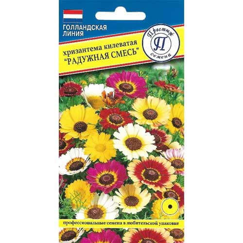 Хризантема Радужная, смесь окрасок Престиж изображение 1 артикул 84566