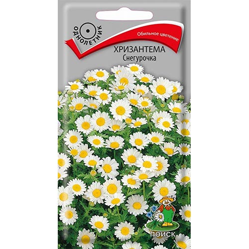 Хризантема Снегурочка, семена изображение 1 артикул 93142