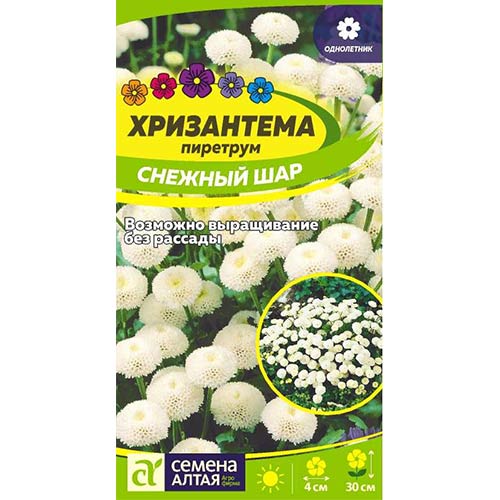 Хризантема Снежный шар Семена Алтая изображение 1 артикул 78179