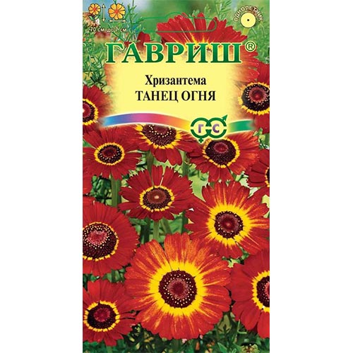Хризантема Танец огня, семена изображение 1 артикул 92243