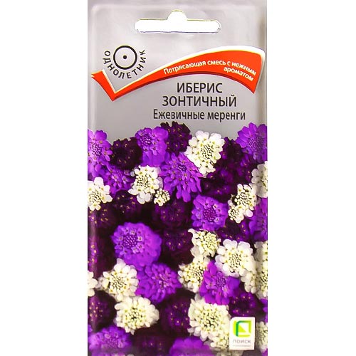 Иберис Ежевичные меренги, смесь окрасок изображение 1 артикул 92982