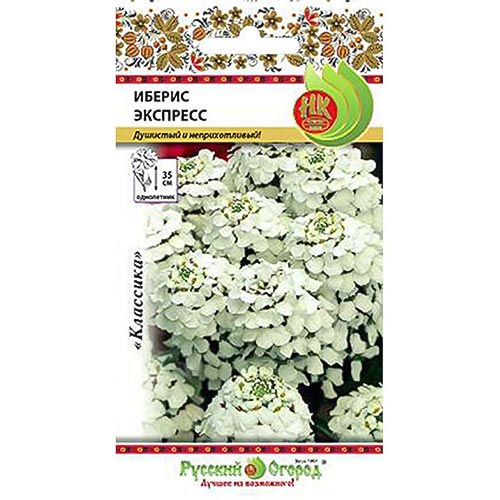 Иберис Экспресс, семена изображение 1 артикул 92513