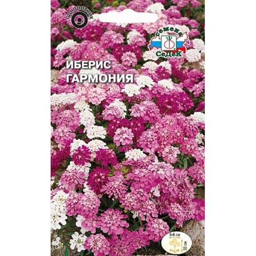 Иберис Гармония, семена изображение 1 артикул 93785