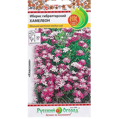 Иберис Гибралтарский хамелеон, семена изображение 1 артикул 92509