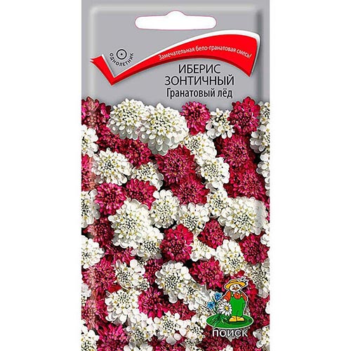 Иберис Гранатовый лед, смесь окрасок изображение 1 артикул 92981