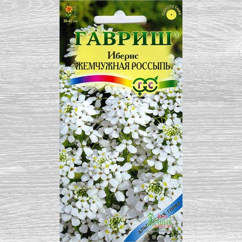 Иберис Жемчужная россыпь Гавриш артикул фото 1 Иберис Жемчужная россыпь Гавриш изображение 1 артикул 73841
