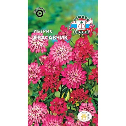 Иберис Красавчик, семена изображение 1 артикул 93786