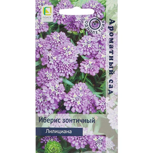 Иберис Лилициана, семена изображение 1 артикул 92983