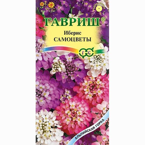 Иберис Самоцветы, смесь окрасок Гавриш артикул фото 1 Иберис Самоцветы, смесь окрасок Гавриш изображение 1 артикул 73842