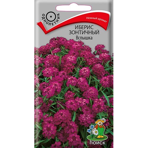 Иберис Вспышка, семена изображение 1 артикул 92980
