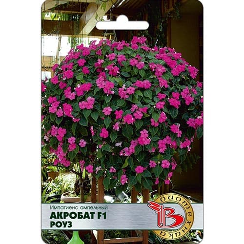 Импатиенс Акробат Роуз F1, семена изображение 1 артикул 91584