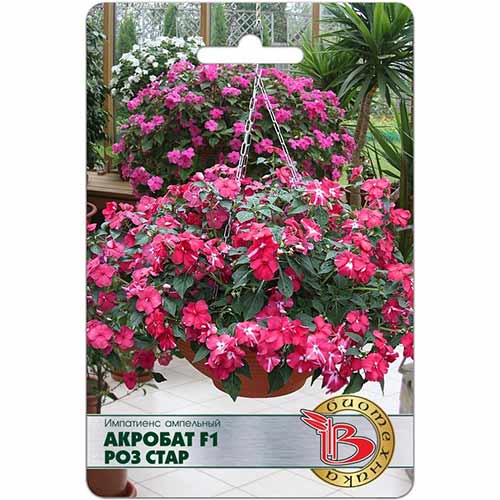 Импатиенс ампельный Акробат Роз Стар F1 Биотехника изображение 1 артикул 74087