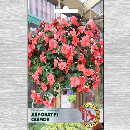 Импатиенс ампельный Акробат Салмон F1 изображение 1 артикул 74088