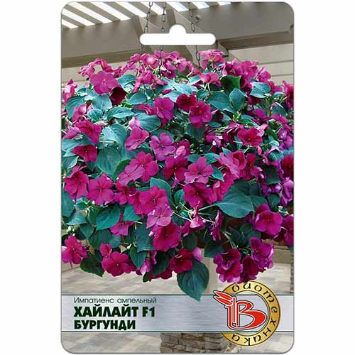 Импатиенс Хайлайт Бургунди F1 Биотехника изображение 1 артикул 74807