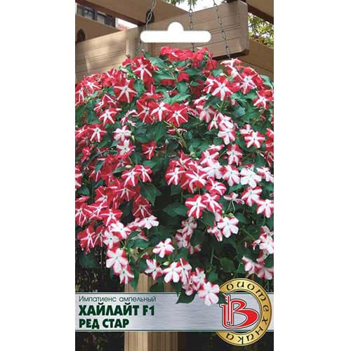 Импатиенс ампельный Хайлайт Ред Стар F1 Биотехника изображение 1 артикул 74810