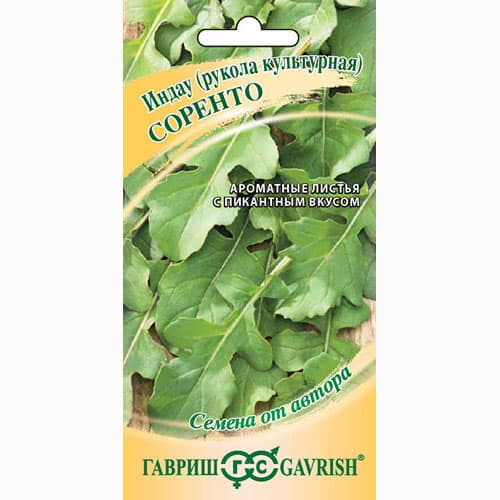 Индау (рукола) культурная Соренто Гавриш изображение 1 артикул 82162