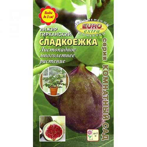 Инжир обыкновенный Сладкоежка Аэлита изображение 1 артикул 98951