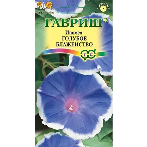 Ипомея Голубое блаженство, семена изображение 1 артикул 92058
