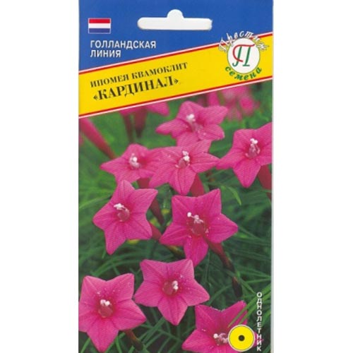Ипомея Кардинал Престиж изображение 1 артикул 84476