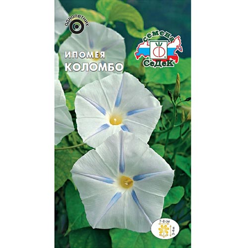 Ипомея Коломбо, семена изображение 1 артикул 93790
