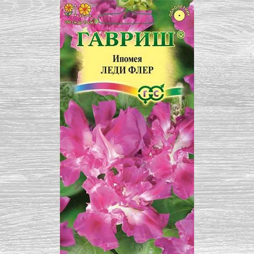 Ипомея Леди Флер Гавриш изображение 1 артикул 82380