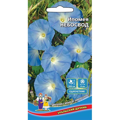 Ипомея Небосвод, семена изображение 1 артикул 94799