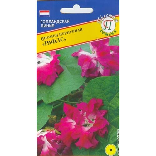 Ипомея Пурпурная Рафлс Престиж изображение 1 артикул 84479
