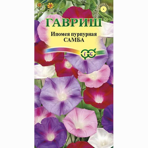 Ипомея пурпурная Самба, смесь окрасок Гавриш изображение 1 артикул 66073
