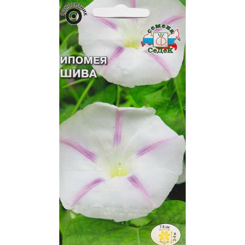 Ипомея Шива, семена изображение 1 артикул 93793