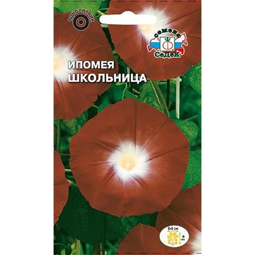 Ипомея Школьница, семена артикул фото 1 Ипомея Школьница, семена изображение 1 артикул 93794