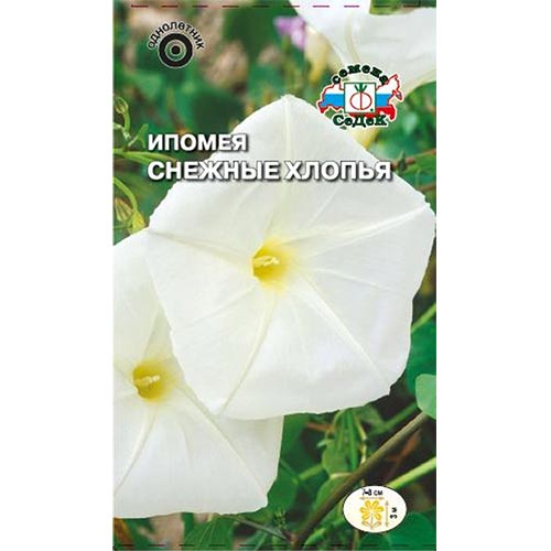 Ипомея Снежные хлопья, семена изображение 1 артикул 93792