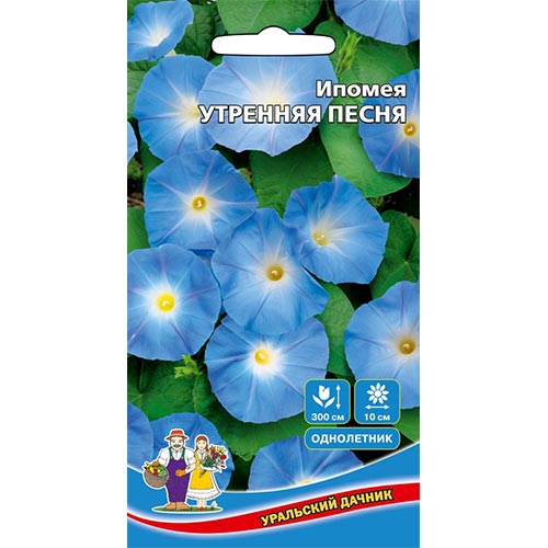 Ипомея Утренняя песня, семена изображение 1 артикул 94802