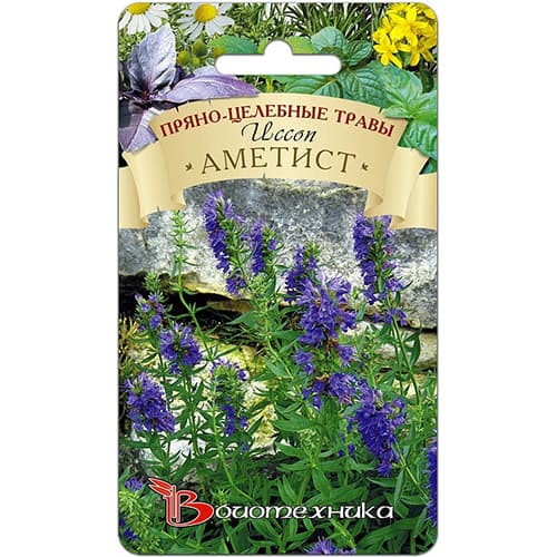 Иссоп Аметист Биотехника изображение 1 артикул 97283