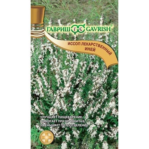 Иссоп Иней, семена изображение 1 артикул 91685