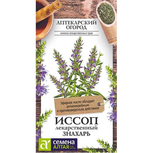 Иссоп Знахарь Семена Алтая изображение 1 артикул 81473