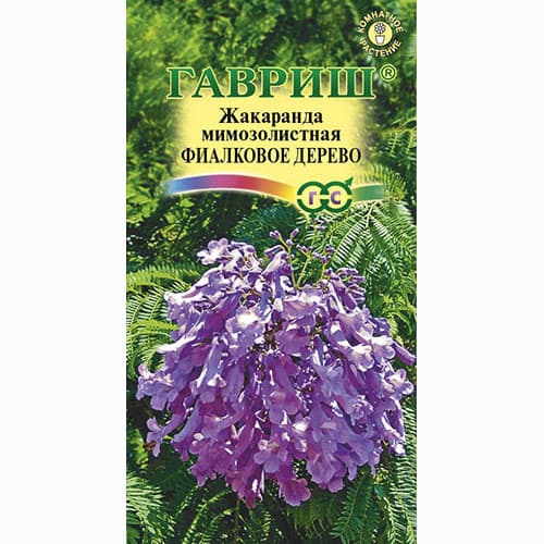 Жакаранда мимозолистая Фиалковое дерево Гавриш изображение 1 артикул 66071