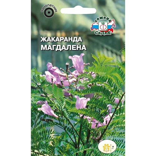 Жакаранда Магдалена, семена изображение 1 артикул 93784