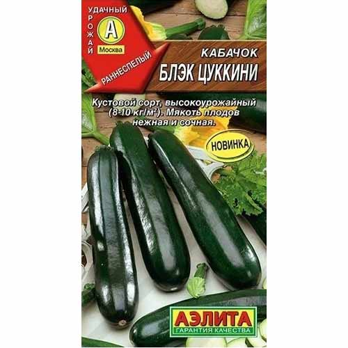 Кабачок Блэк цуккини Аэлита артикул фото 1 Кабачок Блэк цуккини Аэлита изображение 1 артикул 40044
