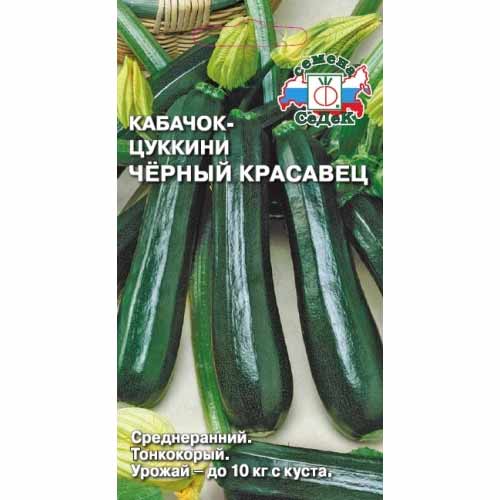 Кабачок Черный красавец Седек изображение 1 артикул 40460