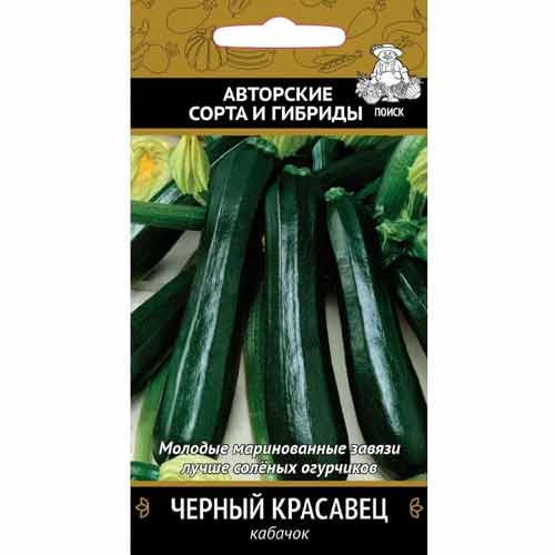 Кабачок Черный красавец Поиск изображение 1 артикул 81868
