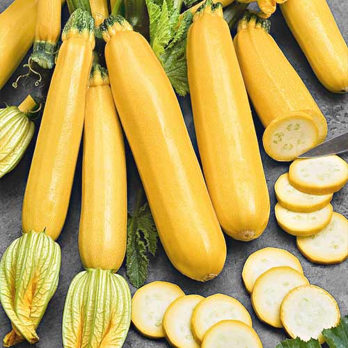 Кабачок Чудо оранжевое F1, семена изображение 1 артикул 65108