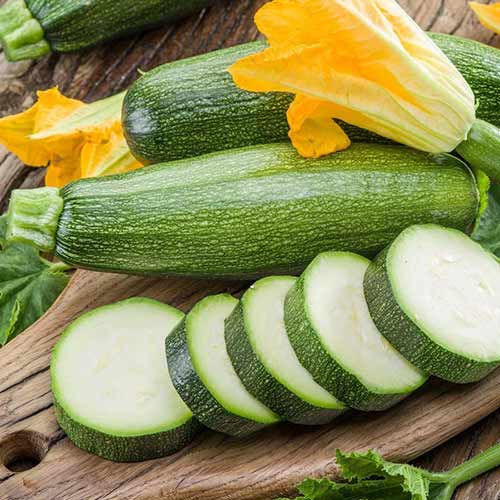 Кабачок Фермер Джан F1 Седек изображение 1 артикул 84881