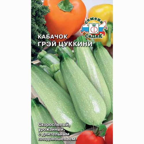 Кабачок Грэй цуккини Седек артикул фото 1 Кабачок Грэй цуккини Седек изображение 1 артикул 93331