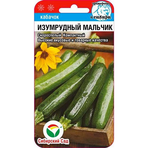 Кабачок Изумрудный мальчик, семена изображение 1 артикул 94338