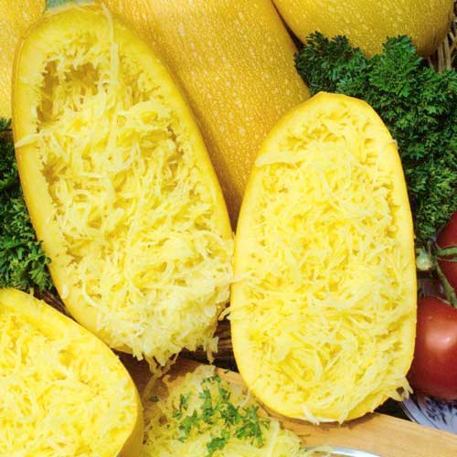 Кабачок спагетти Порционный F1 изображение 2 артикул 65333