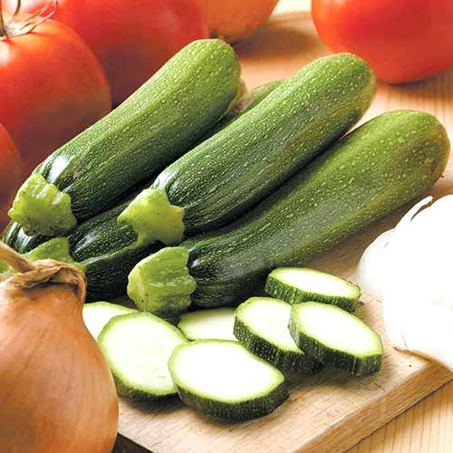 Кабачок Ванюша F1 Седек изображение 1 артикул 82494